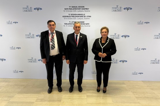 Чланови Делегације ПСБиХ у ПСНАТО-а учествовали у раду комитета ПСНАТО-а у оквиру 71. годишњег засједања ПСНАТО-а у Љубљани 